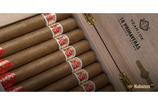 Hoyo de Monterrey Primaveras