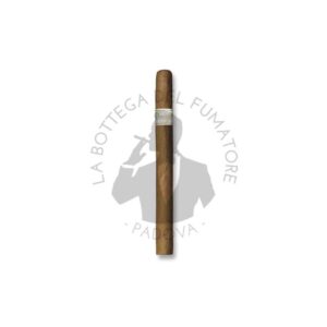 Davidoff Signature Ambassadrice