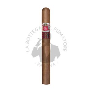 Hoyo de Monterrey Escogidos LCDH