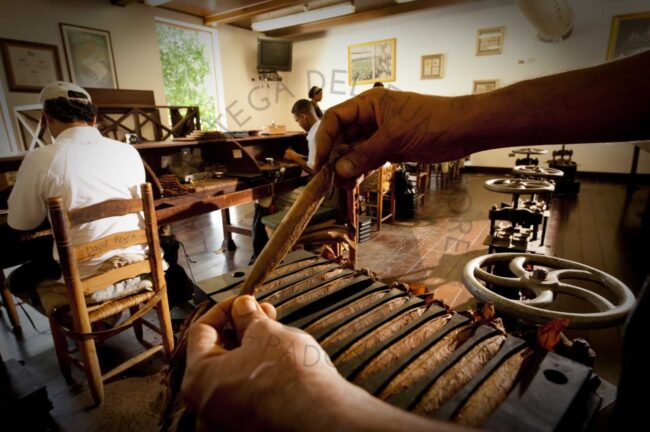 Repubblica dominicana sigari