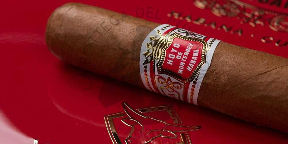 Hoyo de Monterrey Primaveras