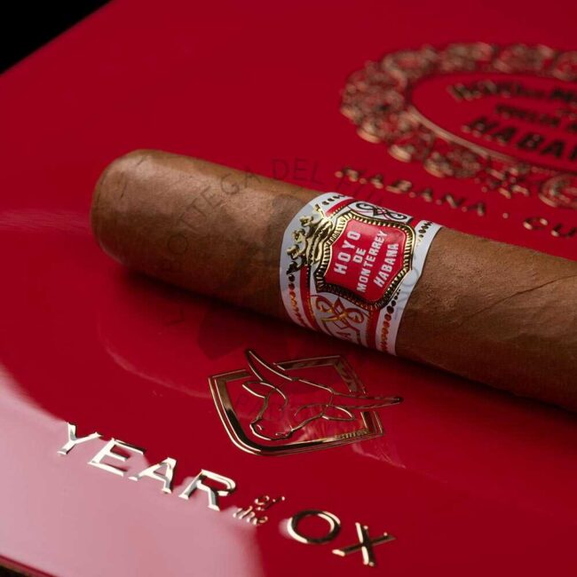 Hoyo de Monterrey Primaveras