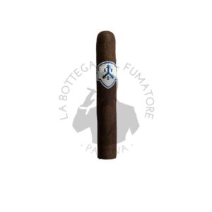 Adventura Navigator Vespucci