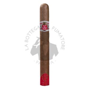 Hoyo de Monterrey Primaveras