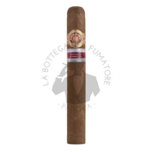 Ramon Allones Terra Magica