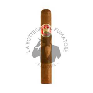 Saint Luis Rey Regios