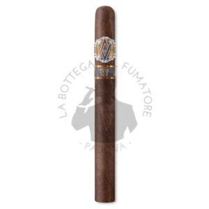 AVO Improvisation Limited Edition 2021