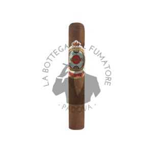 Ashton Symmetry Robusto