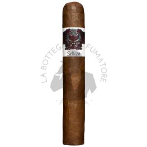 Asylum Schizo Hercule