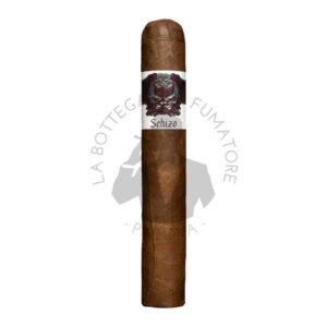 Asylum Schizo toro Gordo