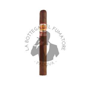 Aurora Cameroon corona