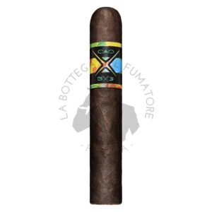 CAO BX3 Toro