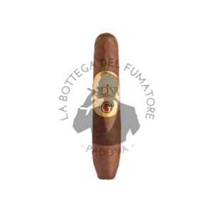 Oliva Serie G special G