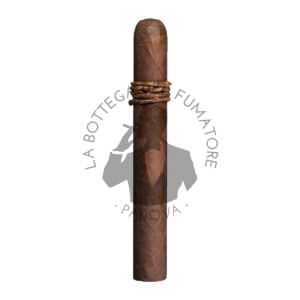 CAO Amazon Basin