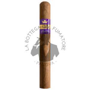 Don Tomas Bundle Nicaragua Toro