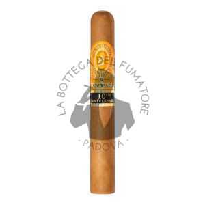 Perdomo 10th Aniversario Connecticut Robusto