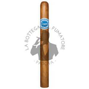 Cusano Connecticut Churchill