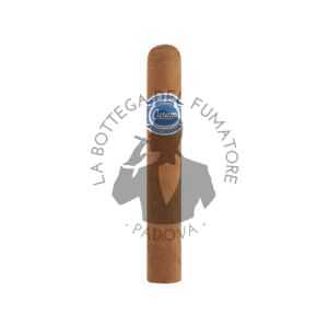 Cusano Connecticut Robusto