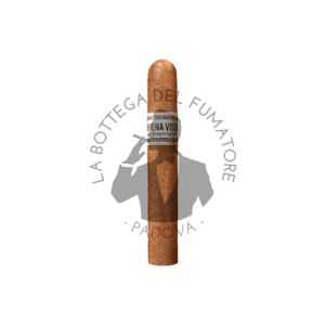 Buena Vista Araperique Robusto
