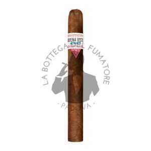 Buena vista Incognito Churchill