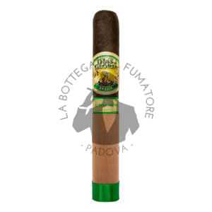 Dias de Gloria Brasil Gordo