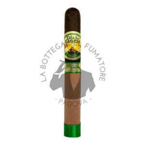 Dias de Gloria Brasil Toro