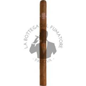 Sancho Panza Sanchos