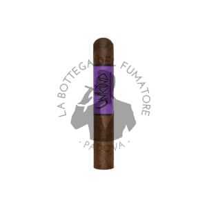 Blackbird Unkind Robusto