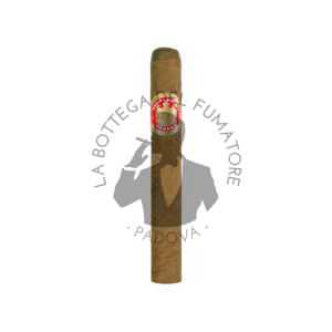 Saint Luis Rey Petit Coronas